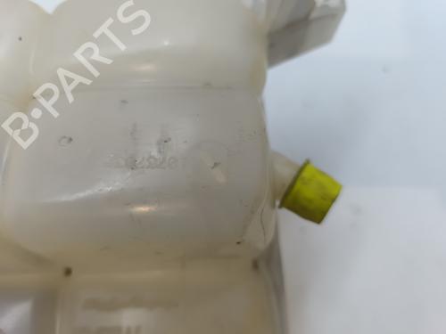 Expansion tank RENAULT KANGOO / GRAND KANGOO II (KW0/1_) 1.5 dCi 90 (KW05, KW08, KW0G, KW11) | BP28178735C120 