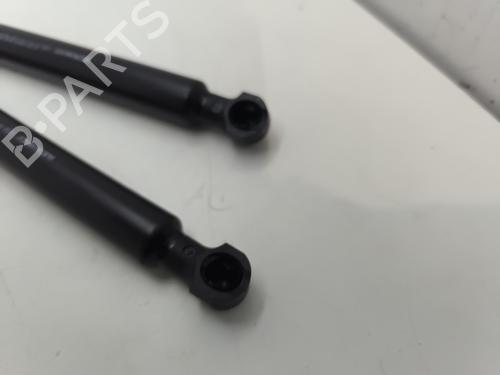Tailgate lift support RENAULT TWINGO III (BCM_, BCA_)  | BP27296450C138 