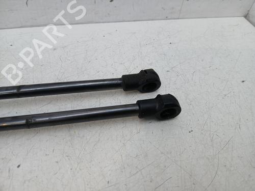 hood-lift-support-fiat-talento-van-296_-2016-32515933 main image