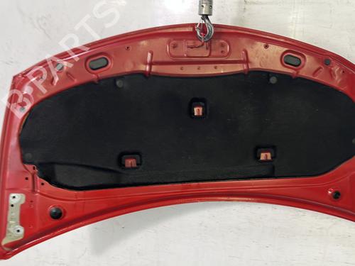 Hood RENAULT CLIO III (BR0/1, CR0/1) 1.5 dCi (C/BR0G, C/BR1G) | BP22844534C1