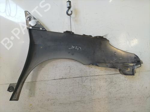 Guarda-lamas esquerdo CITROËN C8 (EA_, EB_) 2.2 HDi | BP31062326C41 