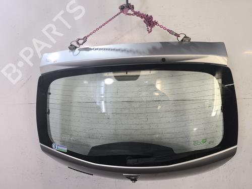 Tailgate DACIA SANDERO 1.5 dCi | BP31923694C6 