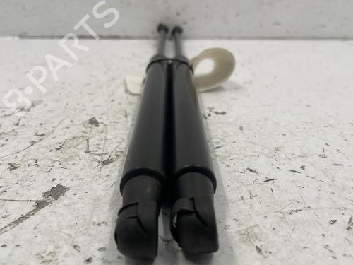 Tailgate lift support FORD KA (RU8) 1.2 | BP22843619C138