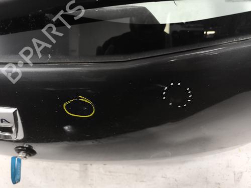 Tailgate DACIA SANDERO 1.4 MPI LPG | BP26031596C6