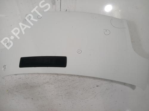 Used Hood RENAULT TRAFIC II Van (FL) 1.9 dCi 100 (FL0C, FL0K, FL0B) (101 hp) 30200164
