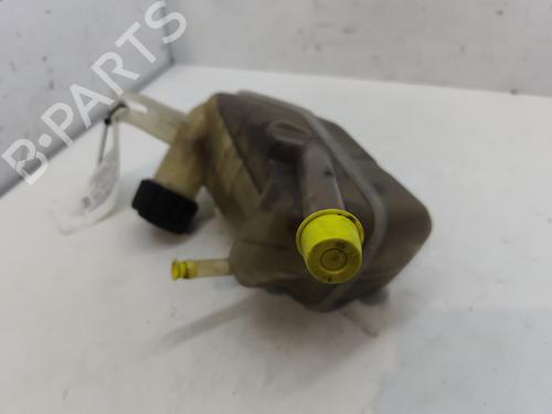 Ekspansjonstank Ekspansjonstank RENAULT MEGANE II (BM0/1_, CM0/1_) 2.0 dCi (173 hp) 28181212 28181212