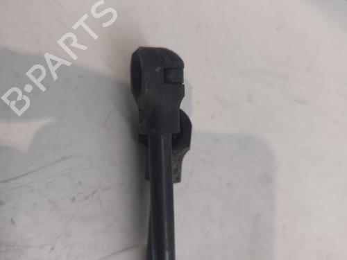 Tailgate lift support DACIA SANDERO II  | BP27545896C138 