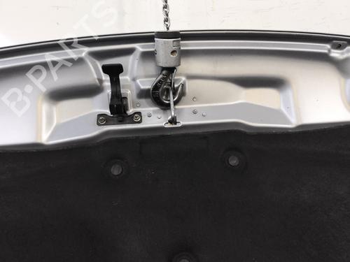 Hood PEUGEOT 208 I (CA_, CC_) 1.2 THP 110 | BP29834022C1