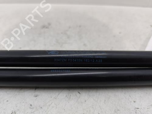 Tailgate lift support PEUGEOT 3008 I MPV (0U_) 1.6 HDi | BP30184417C138