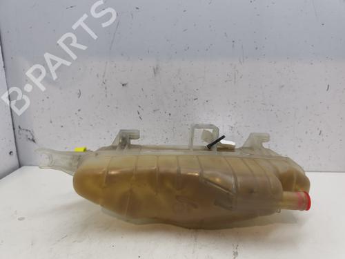 Used Expansion tank RENAULT CLIO III (BR0/1, CR0/1) 1.2 16V (BR02, BR0J, BR11, CR02, CR0J, CR11) (75 hp) 25996833