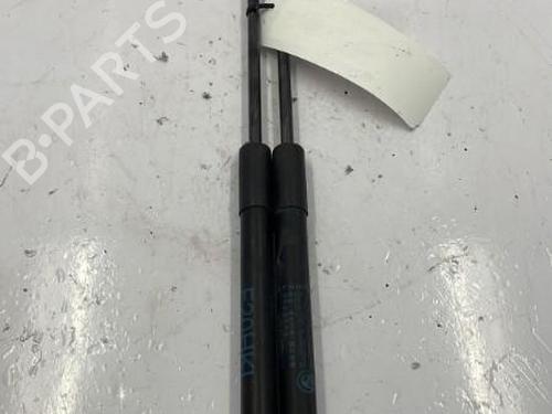 Tailgate lift support BMW 1 (F20) 116 d | BP22839307C138