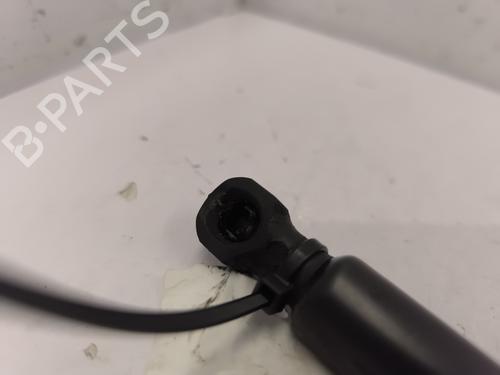 Hood lift support DACIA SANDERO II 1.5 dCi | BP25758094C139 