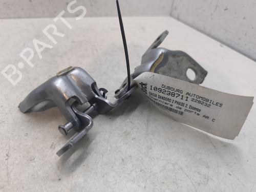 hingedoor-check-strap-dacia-sandero-ii-2012-27619016 main image