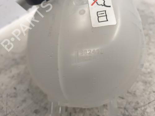Expansion tank PEUGEOT 208 II (UB_, UP_, UW_, UJ_) e-208 | BP24196784C120 