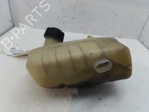 Ekspansjonstank RENAULT MEGANE II (BM0/1_, CM0/1_) 2.0 dCi | BP28181212C120 