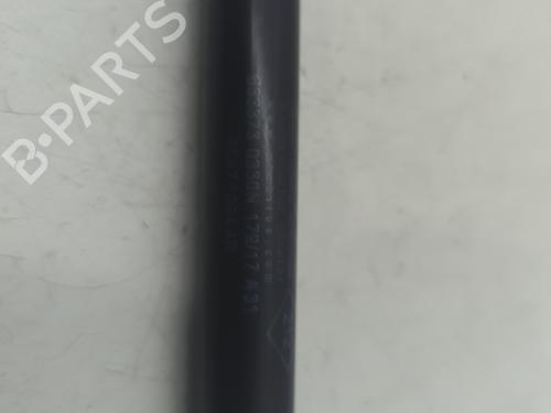 hood-lift-support-dacia-duster-hs_-2010-2011-2012-2013-2014-2015-2016-2017-2018-33205922 main image