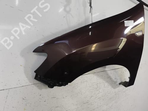 Left front fenders DACIA SANDERO II 1.2 | BP29833717C41 