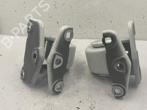 Hinge/Door check strap RENAULT TRAFIC III Van (FG_)  | BP25720256C146 