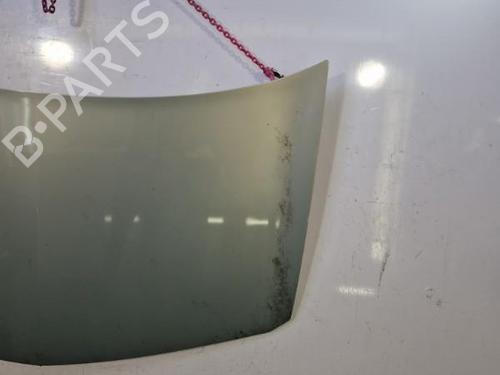 Used Hood RENAULT MEGANE II (BM0/1_, CM0/1_) 1.5 dCi (BM0F, BM0T, BM2B, CM0F, CM0T) (82 hp) 22835528