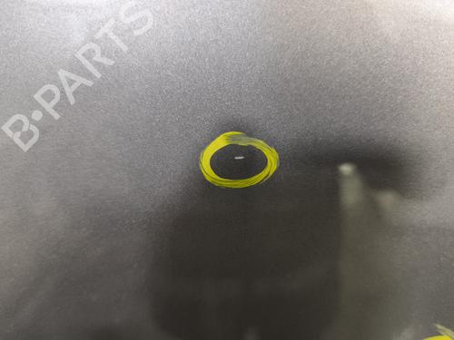 Right rear door RENAULT SCÉNIC III (JZ0/1_) 1.5 dCi | BP29869057C5 