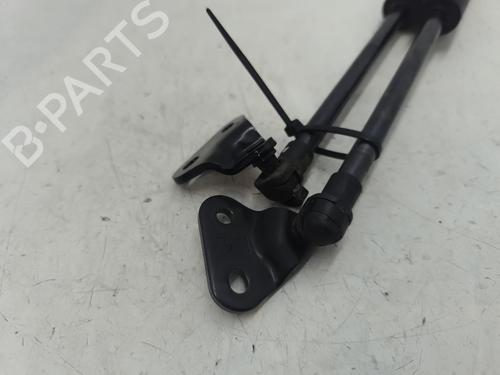 Tailgate lift support CHEVROLET ORLANDO (J309) 2.0 D | BP31263539C138