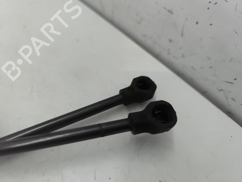 Tailgate lift support RENAULT CLIO IV (BH_) 1.5 dCi 75 | BP28702822C138