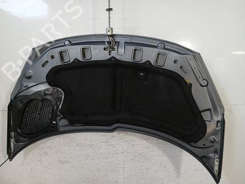 Hood PEUGEOT 206+ (2L_, 2M_) 1.4 HDi eco 70 | BP29833734C1
