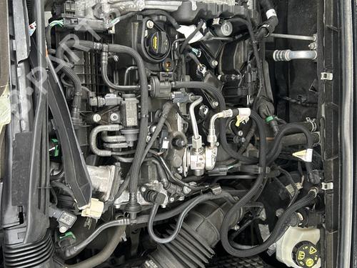 Used Gearbox FORD FOCUS IV Turnier (HP) 1.0 EcoBoost (125 hp) 31712801