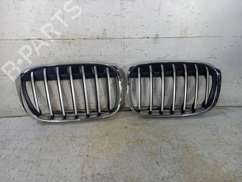 Used Grille BMW X1 (F48) sDrive 18 d (150 hp) 24131440