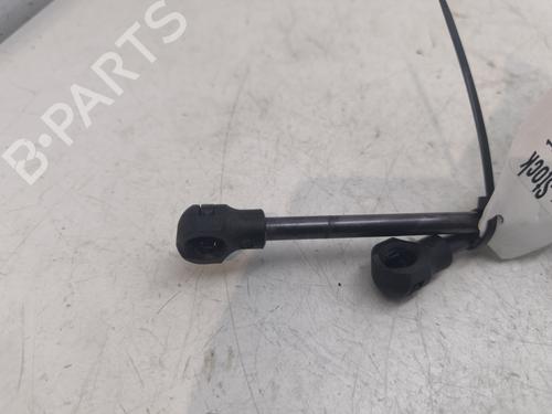 Tailgate lift support DACIA SANDERO II | BP27525172C138 - Image 5