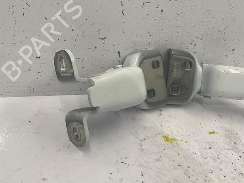 Hinge/Door check strap RENAULT TRAFIC III Van (FG_)  | BP25715609C146 