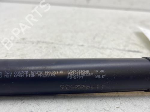 Hood lift support RENAULT CLIO IV (BH_) 1.2 TCe 120 (BHAU) | BP30059295C139 