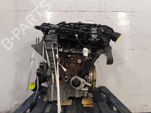 Used Engine FORD PUMA (J2K, CF7) 1.0 EcoBoost mHEV (125 hp) 24571276