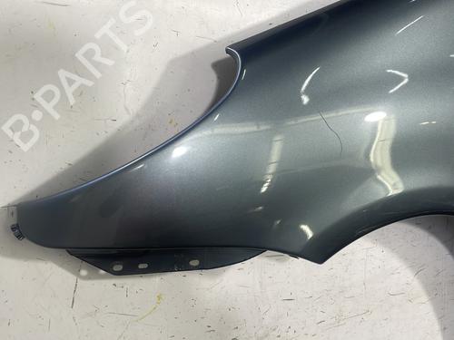 Left front fenders CITROËN XSARA PICASSO (N68) 1.6 HDi | BP23429463C41 