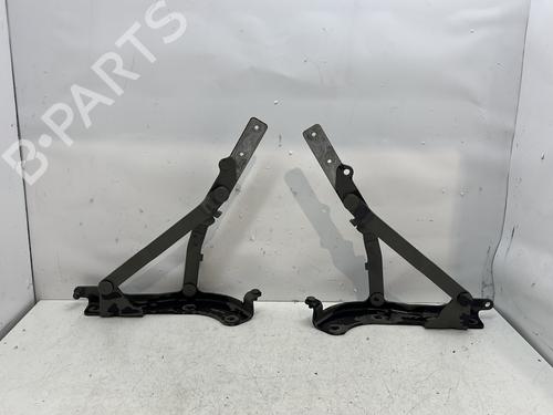hingedoor-check-strap-fiat-500-c-312_-2009-29598746 main image
