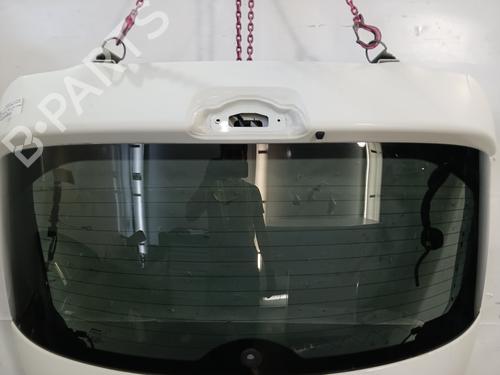 Tailgate NISSAN JUKE (F15) 1.5 dCi | BP29491979C6 