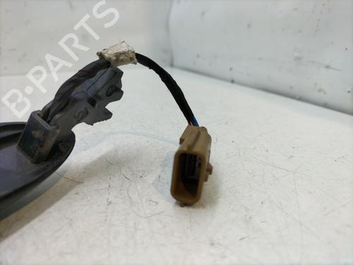 Front left exterior door handle RENAULT MEGANE II (BM0/1_, CM0/1_) 2.0 dCi (BM1K, CM1K) | BP29960212C128