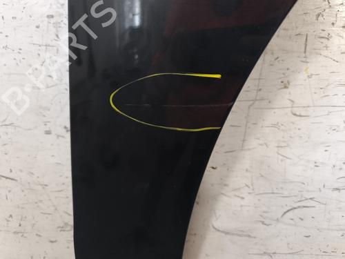 Right front fenders RENAULT SCÉNIC III (JZ0/1_) 1.5 dCi | BP28004299C42 