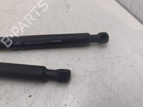 Tailgate lift support DACIA SANDERO II | BP27525172C138 - Image 4