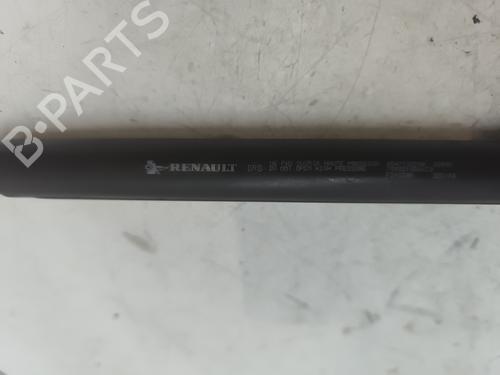 Hood lift support DACIA SANDERO II TCe 90 (B8M1, B8MA, B8AC) | BP27982723C139 