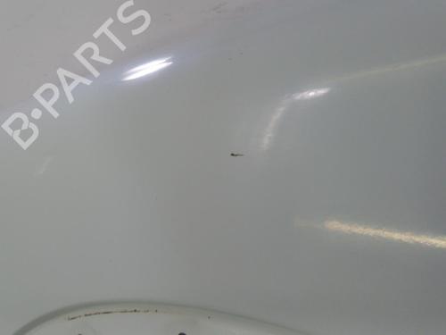 Left front fenders FORD TRANSIT CONNECT (P65_, P70_, P80_) 1.8 TDCi | BP22825513C41 