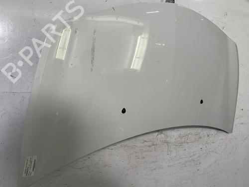 Hood RENAULT CLIO III (BR0/1, CR0/1) 1.5 dCi (C/BR0G, C/BR1G) | BP22844505C1