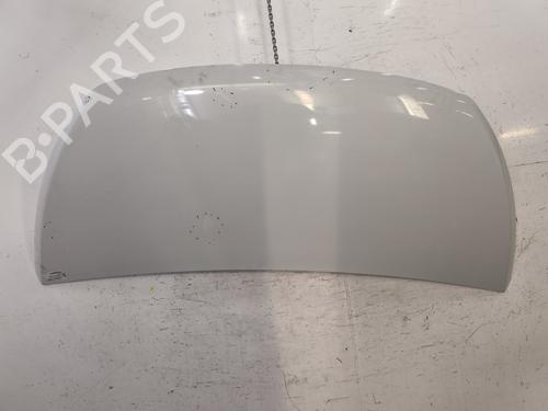 Used Hood Hood FIAT TALENTO Van (296_) 1.6 D (145 hp) 32703634 32703634