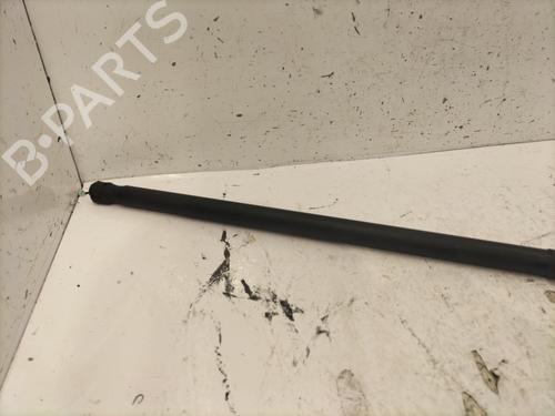 Used Hood lift support VW PASSAT B6 (3C2) 2.0 TDI 16V (140 hp) 24469096