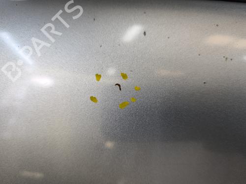 Used Left rear door Left rear door 36905815 36905815