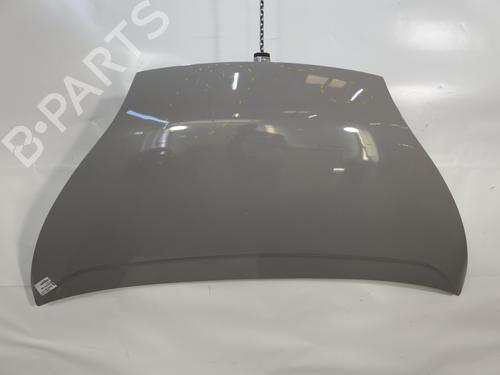 Used Hood BLUECAR BLUEUTILITY EV50 (68 hp) 29043924