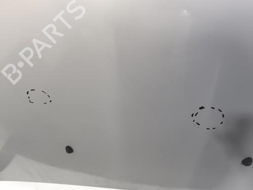 Hood RENAULT MEGANE I (BA0/1_) 1.4 16V (BA0D, BA1H, BA0W, BA10) | BP29222471C1 