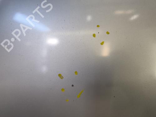 Used Hood Hood CITROËN XSARA (N1) [1997-2005] 35995100 35995100