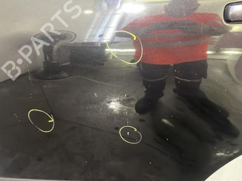 Left rear door NISSAN QASHQAI / QASHQAI +2 I (J10, NJ10, JJ10E) 1.5 dCi | BP22839977C4 