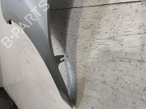 Left front fenders CITROËN C3 II (SC_) 1.2 VTi 82 | BP29869203C41